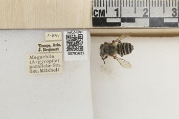Media type: image;   Entomology 791621 Aspect: Labels